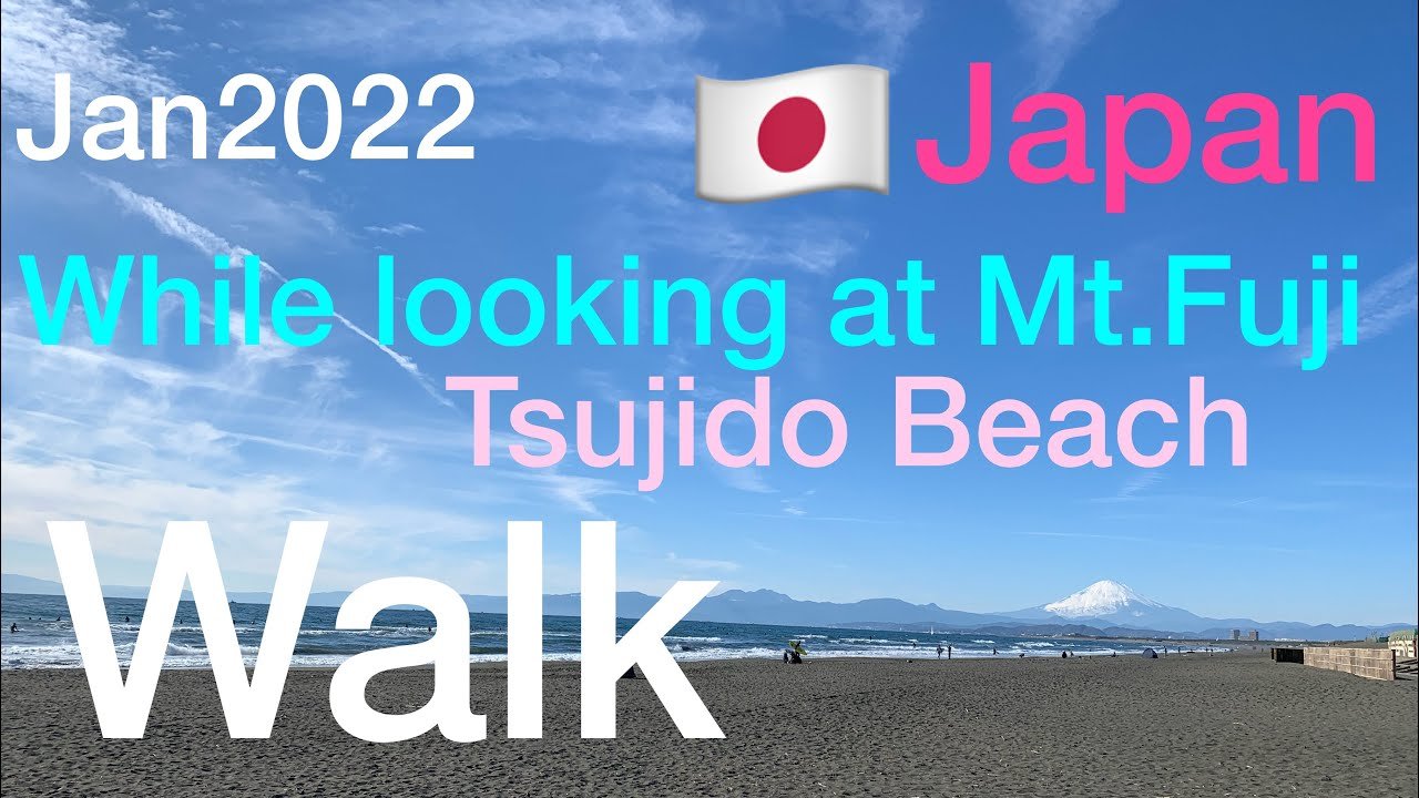 🏞️ 가나가와 현립 츠지도 해변 공원 (가나가와켄리츠 츠지도카이힌코엔) 이미지 6